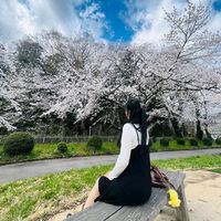 original sound - 🇲🇲 Pyae Pyae 🇯🇵