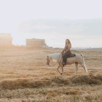 edenshaked.horses