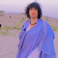 amir.hatra