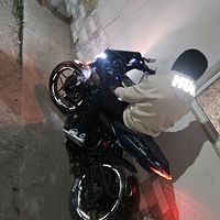 la_pulsar_grey_09