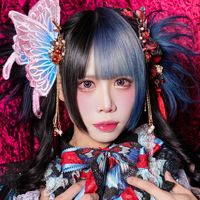 救済バタフライ