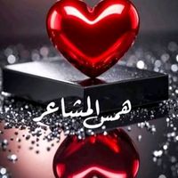 hams.almashaer6