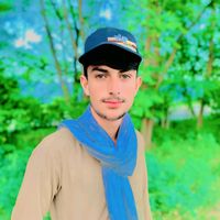 ali.zain7391