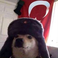orijinal ses