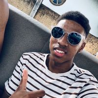 nszin_