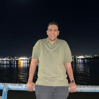mohamedwaleedelsa1