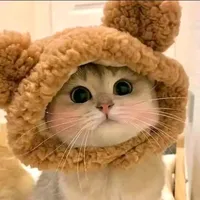 original sound - catsanddogsarebetter