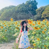 thinzar526