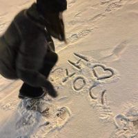 âm thanh gốc - Hoanng