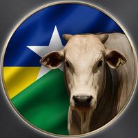 rodeio_tradicao_rodonia