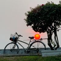 nhạc nền - Vu Music