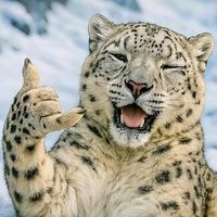 suara asli - zul