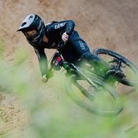 ollierides5