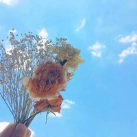 オリジナル楽曲 - 限界看護学生