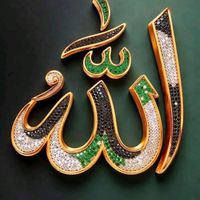 zarajudor2