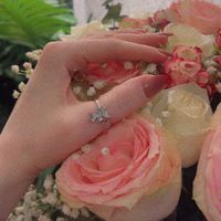 blogger_tahani