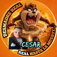 original sound - cesar_navarrete_bustos