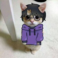 _vuvanphong1