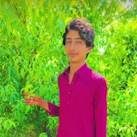 original sound - afzamlahar116