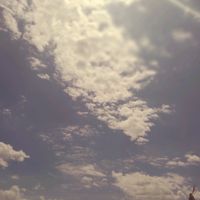 anima_8534