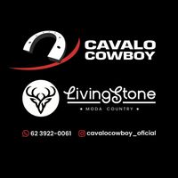 cavalocowboyelivingstone