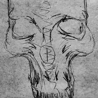 blebex_0