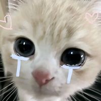 justttcallmeeee_lauraaaa