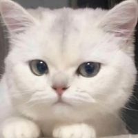 user9560381122398