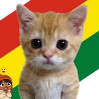 mishisitoboliviano