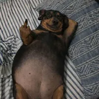 original sound - khhsaooca