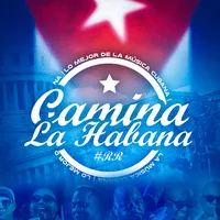 LA NOCHE TEAM HAVANA