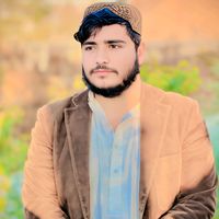 noorbilli302