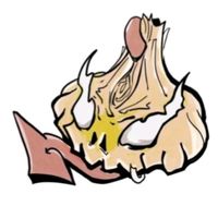 オリジナル楽曲 - ザ ニンクス