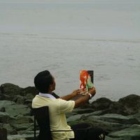 sapeputra