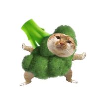 ninikiey