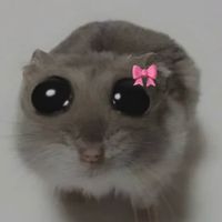 mayybekhushiii