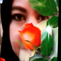 halemh012