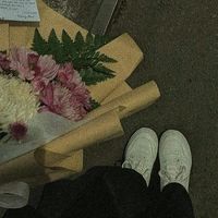 page_dewzz
