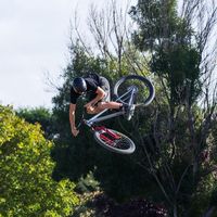 flynn_robertson01