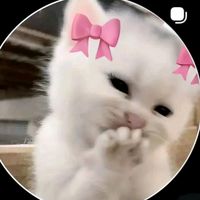 meowdon4