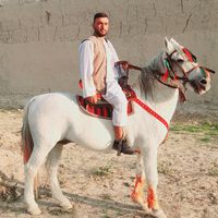 basirbazari496