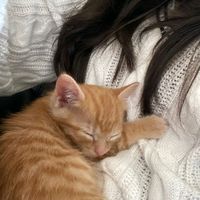 autumnfavesx
