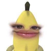 susserrx