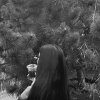 itsse_xx