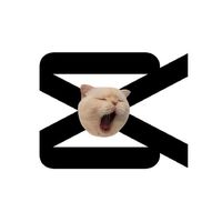 âm thanh gốc - nolecapcut2anh