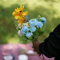 suara asli - dearies📚