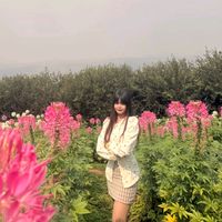 hsuhtet17