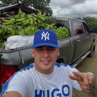 aguacatesdecolombia