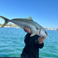 jack_fishing