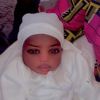 junior.le.cerveau1